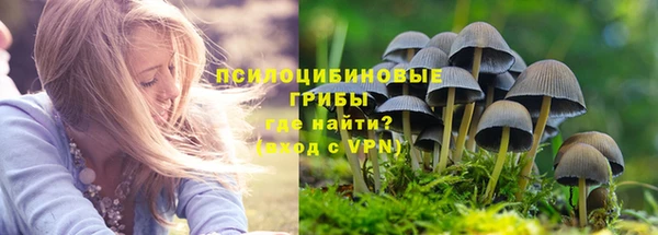 соль курить ск Алексеевка