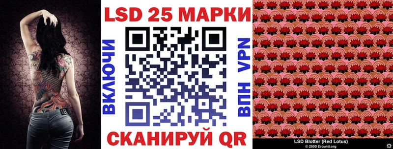 блэк спрут tor  Тогучин  Марки 25I-NBOMe 1500мкг 