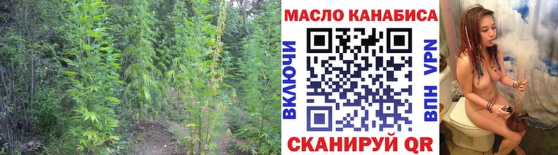 omg как зайти  Тогучин  Дистиллят ТГК вейп 